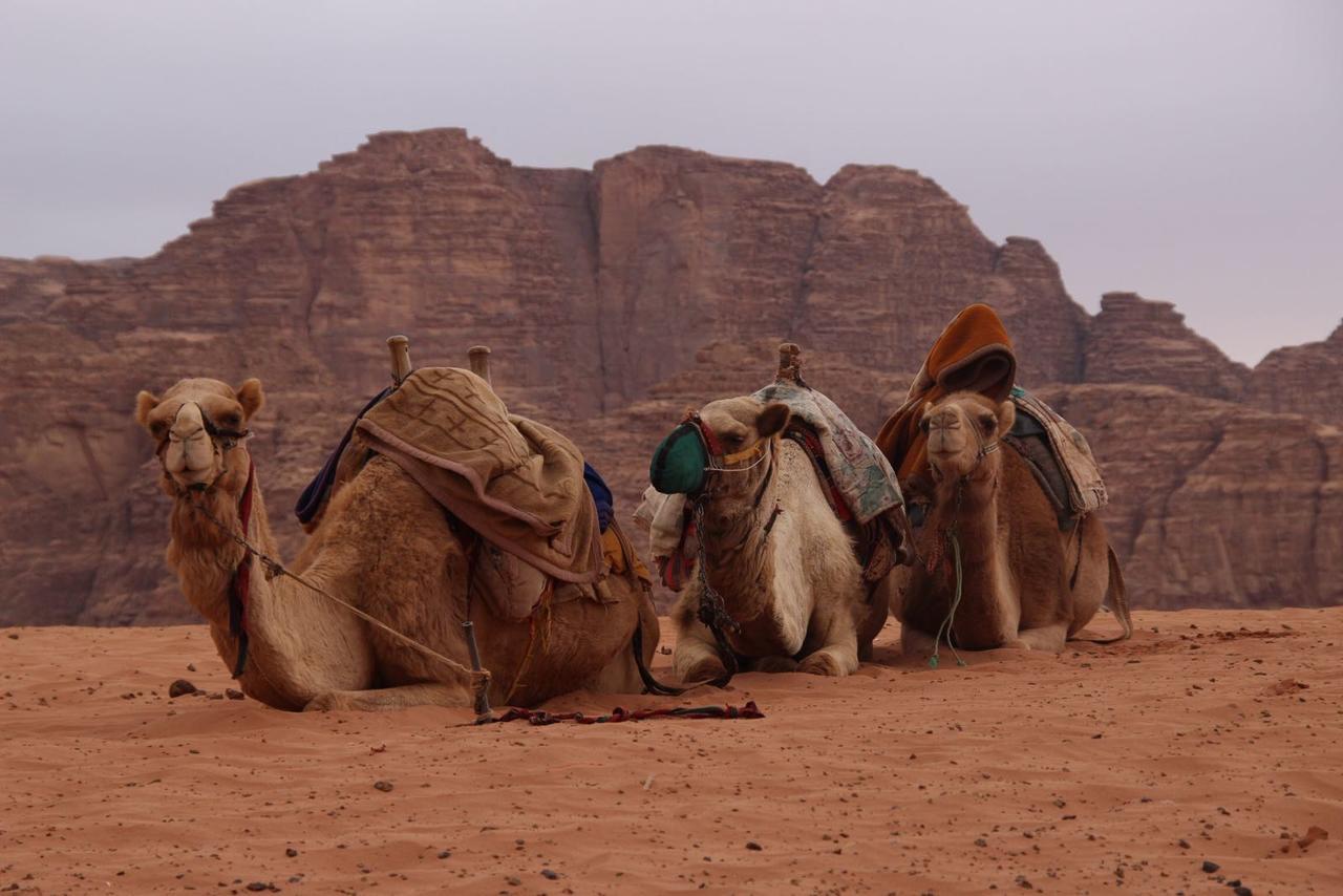 Wadi Rum Desert Secret Camp וואדי רם מראה חיצוני תמונה