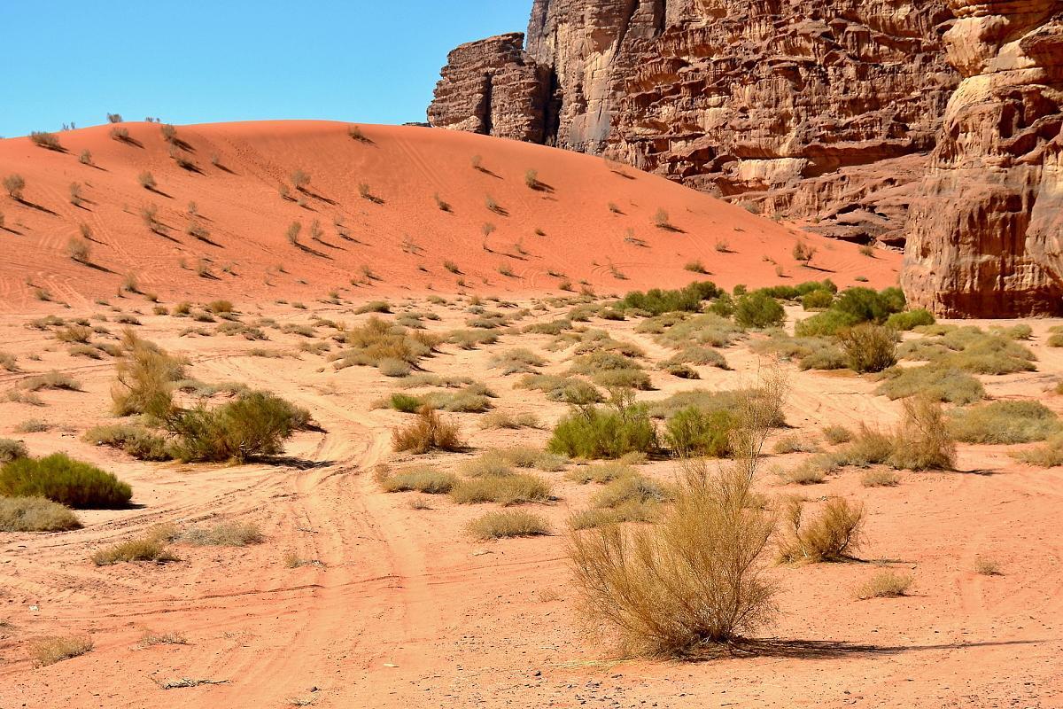 Wadi Rum Desert Secret Camp וואדי רם מראה חיצוני תמונה