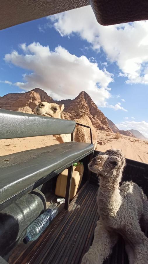 Wadi Rum Desert Secret Camp וואדי רם מראה חיצוני תמונה